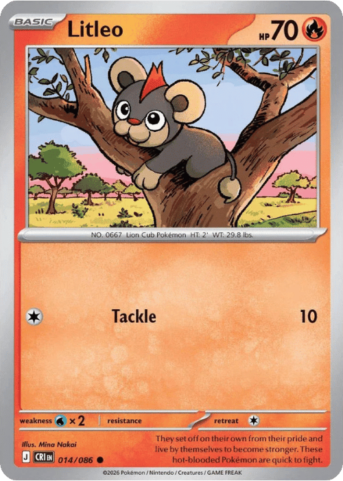 Litleo